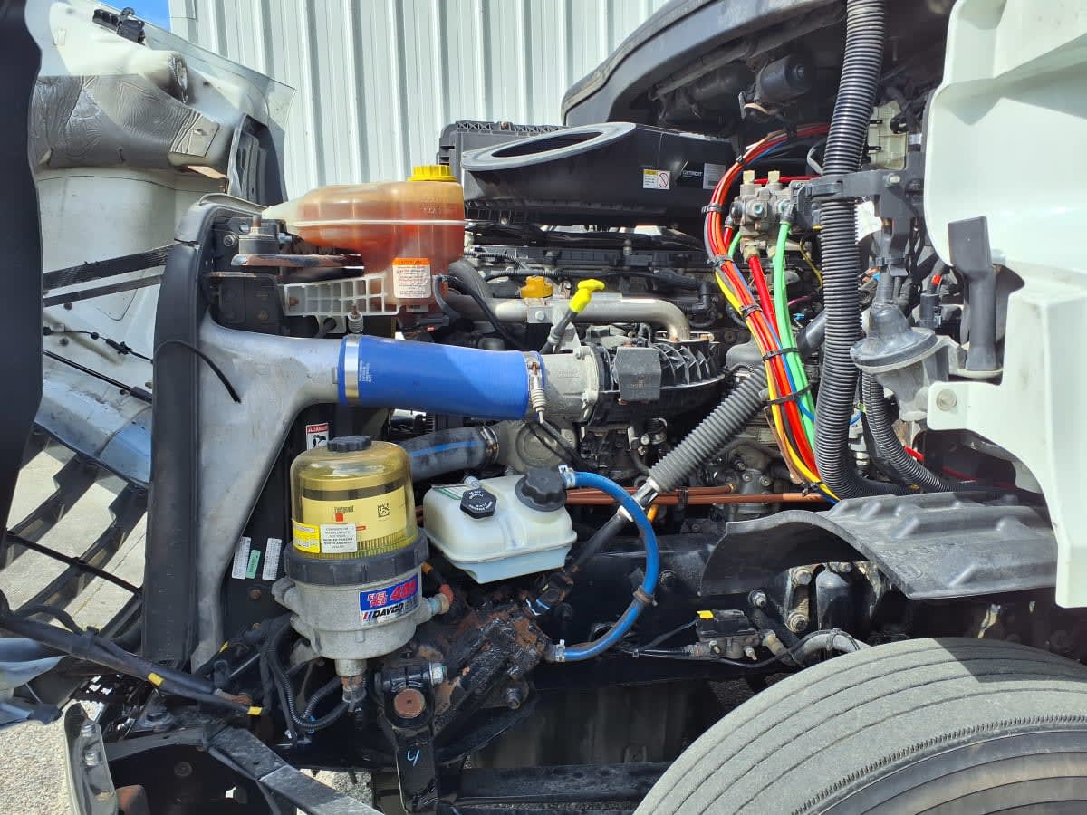 2020 Freightliner/Mercedes NEW CASCADIA 116 291843