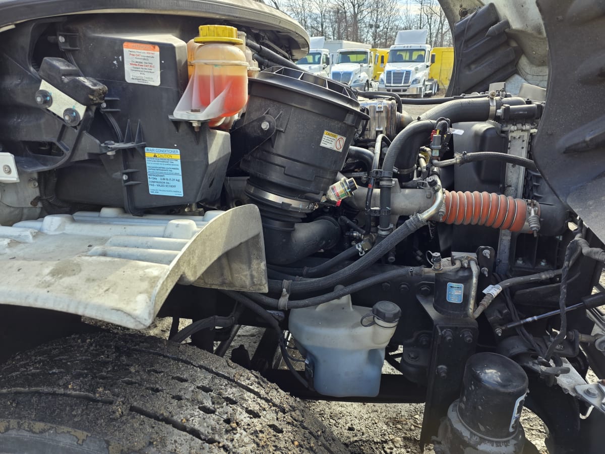 2020 Freightliner/Mercedes M2 106 293124