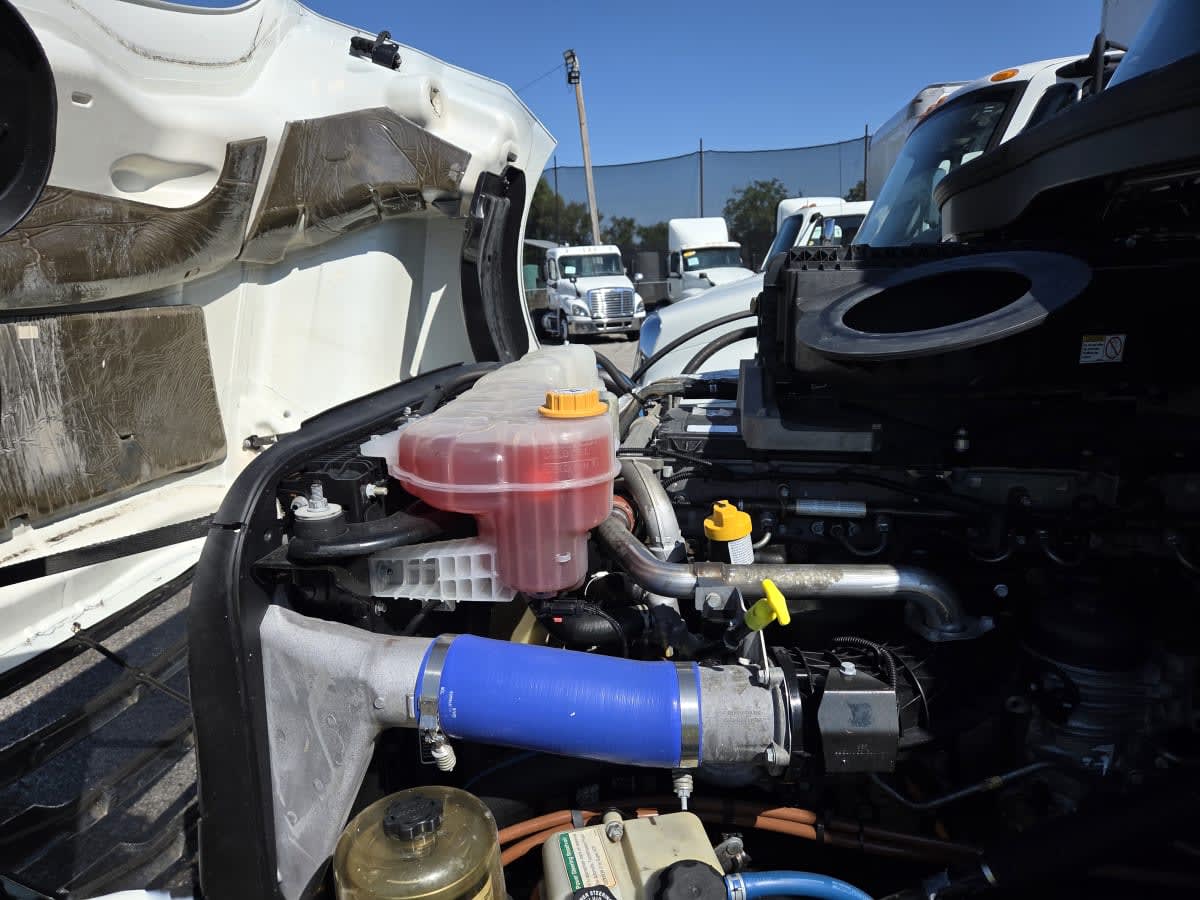 2020 Freightliner/Mercedes NEW CASCADIA PX12664 293233