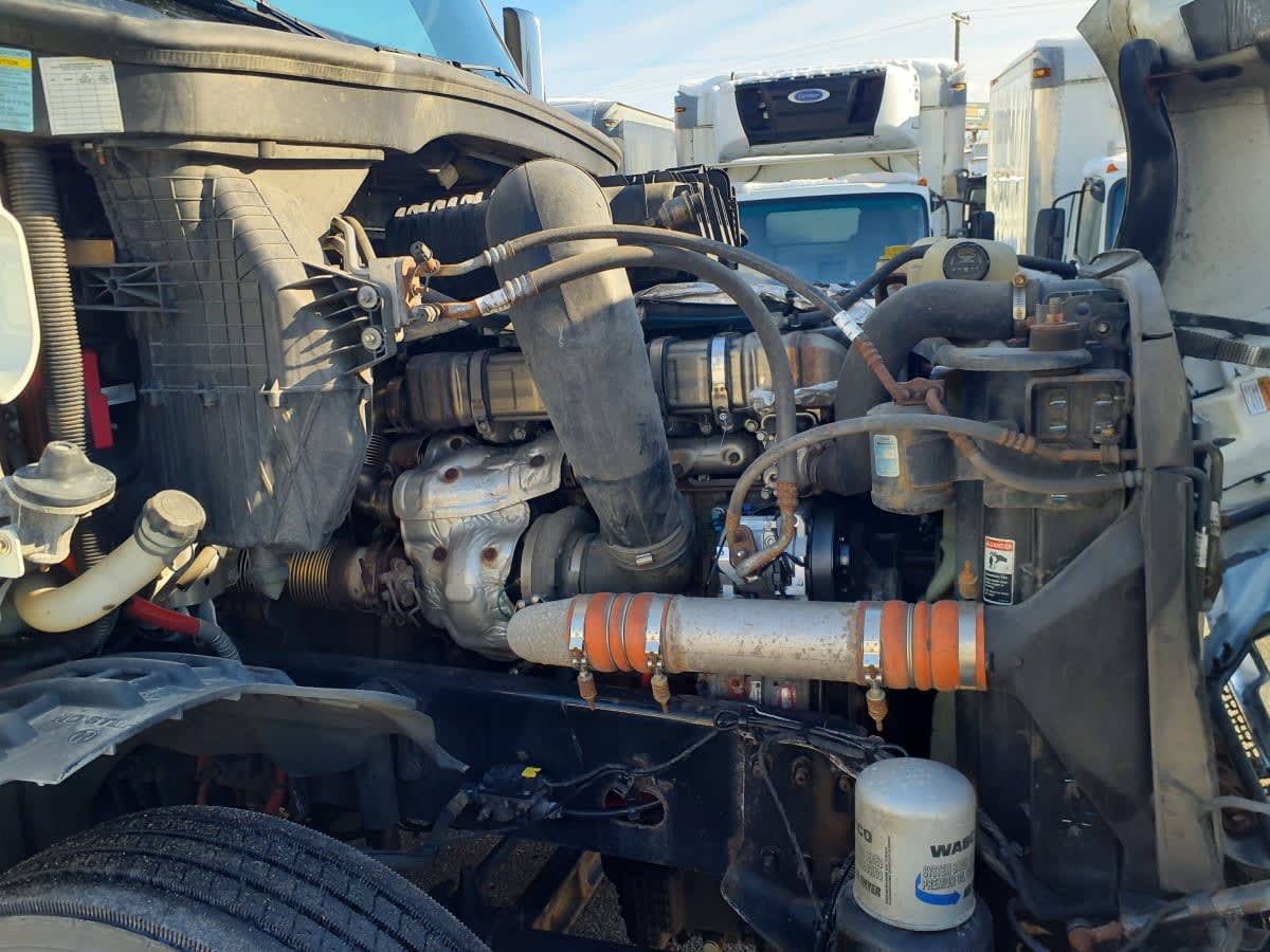 2021 Freightliner/Mercedes NEW CASCADIA PX12664 293990