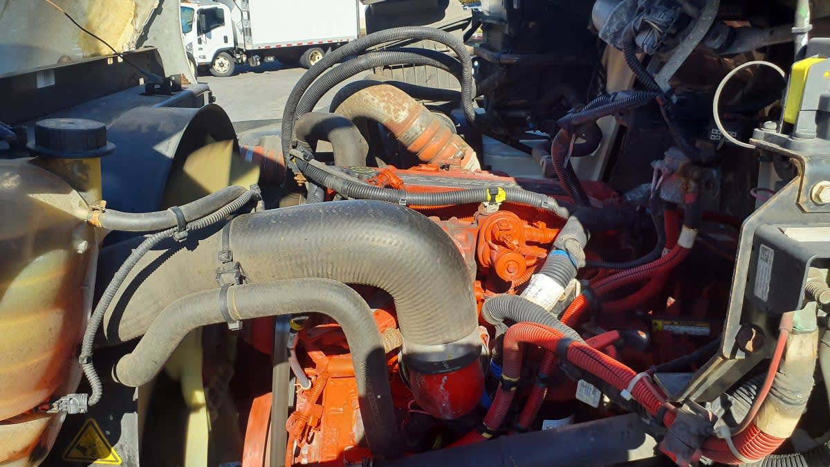 2021 Navistar International MV607 (4X2) 294920 2021 Navistar International MV607 (4X2) 294920