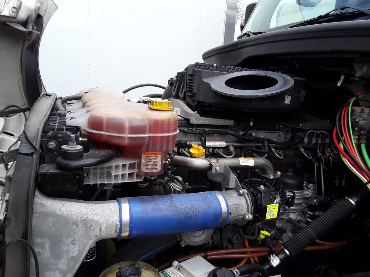 2021 Freightliner/Mercedes NEW CASCADIA PX12664 298138