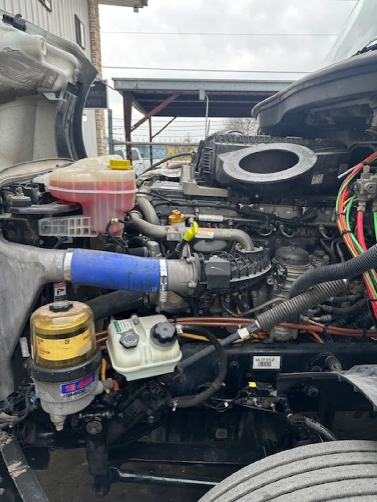 2021 Freightliner/Mercedes NEW CASCADIA PX12664 298334