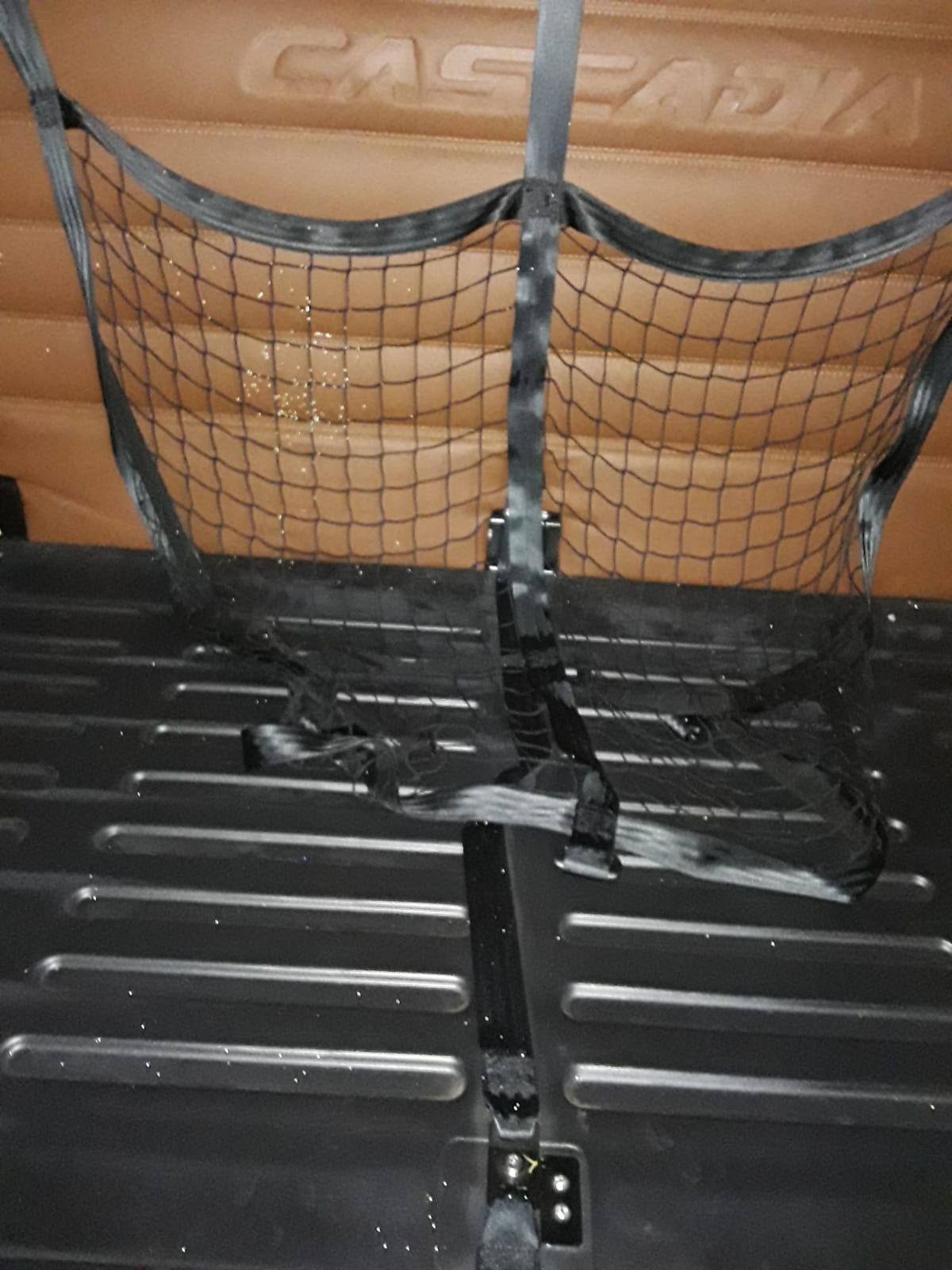 2020 Freightliner/Mercedes PT126064ST 302427