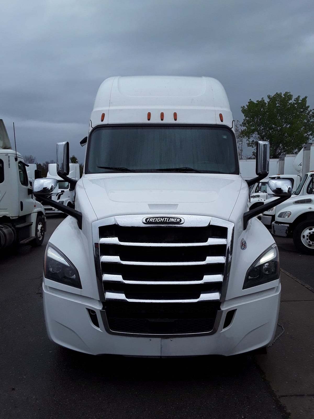 2020 Freightliner/Mercedes PT126064ST 302427