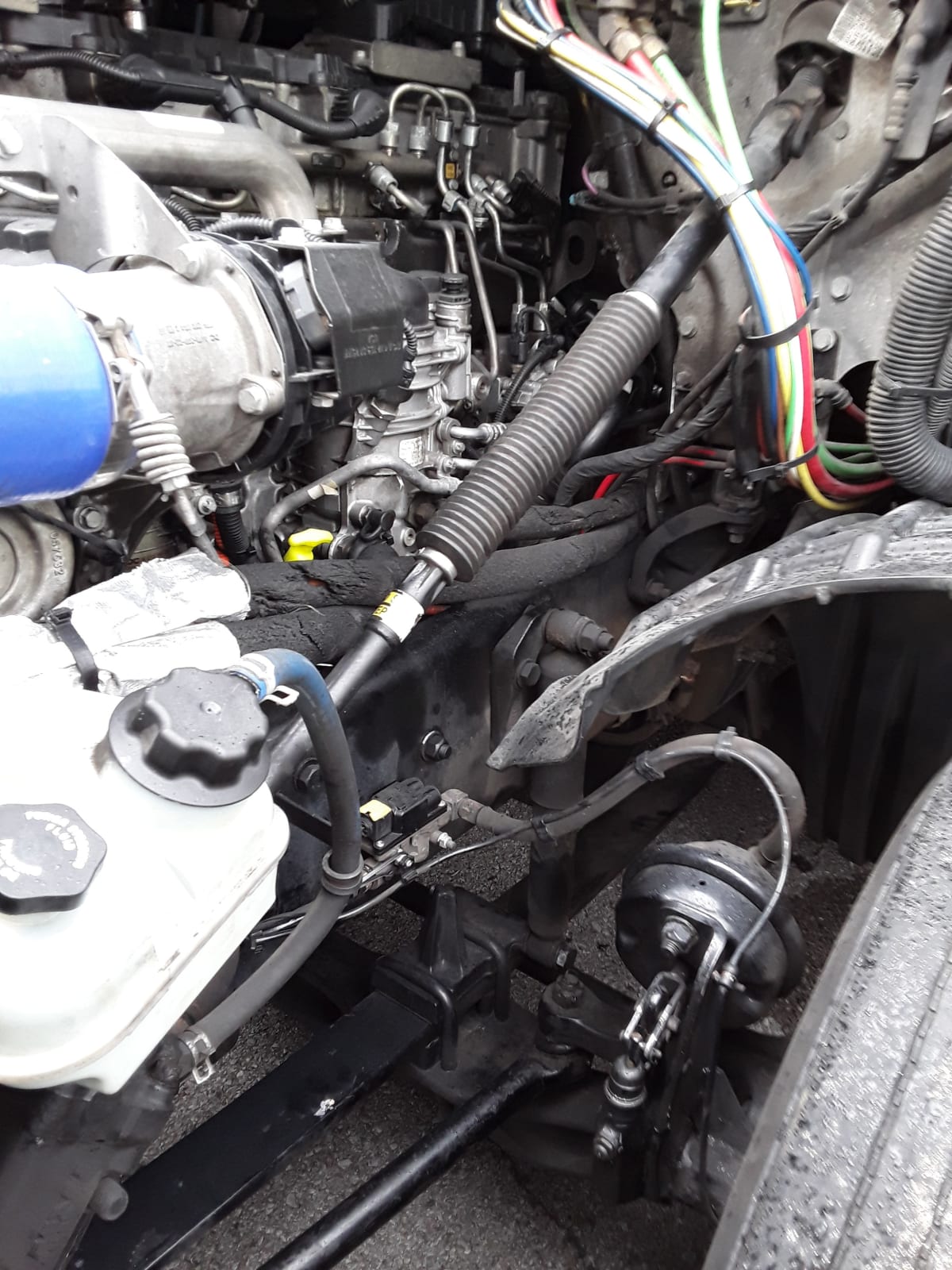 2020 Freightliner/Mercedes PT126064ST 302427