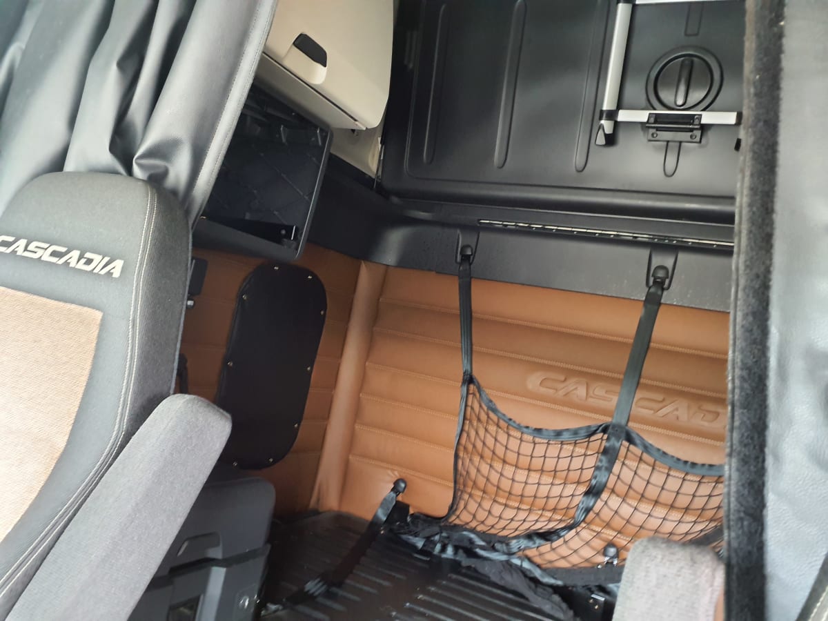 2020 Freightliner/Mercedes PT126064ST 303487