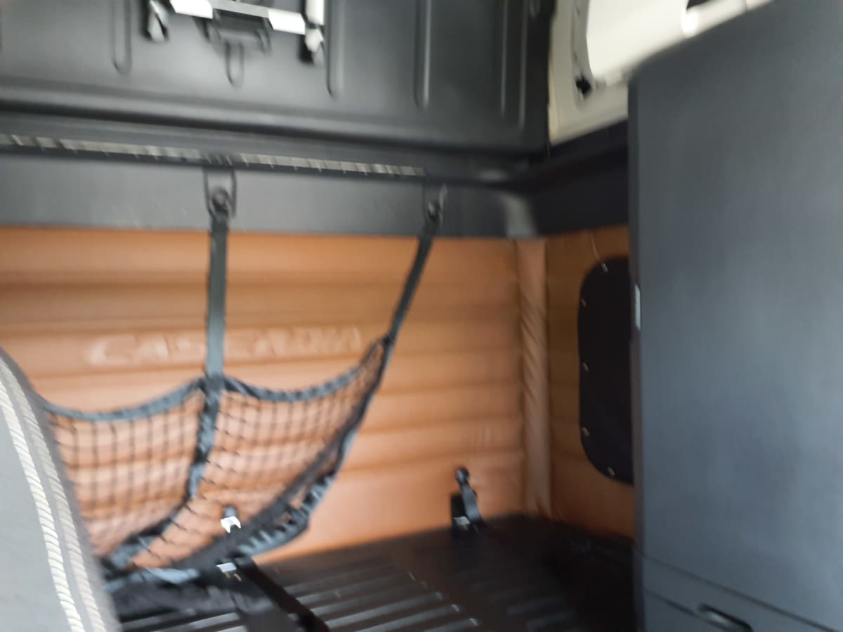 2020 Freightliner/Mercedes PT126064ST 303487