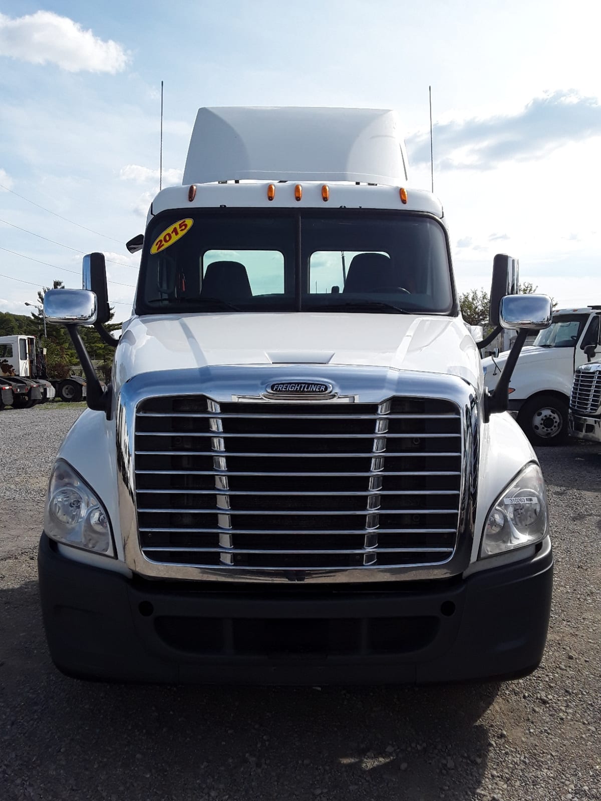 2015 Freightliner/Mercedes CASCADIA 125 310263