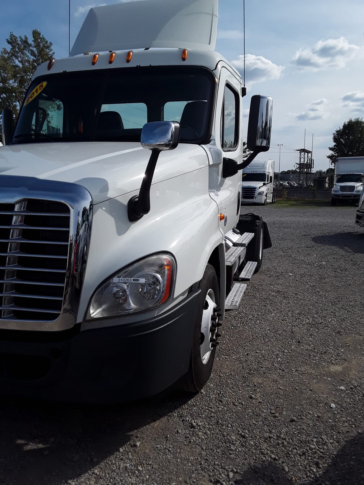 2015 Freightliner/Mercedes CASCADIA 125 310263