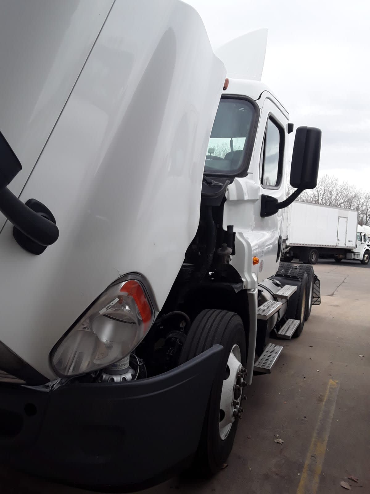 2015 Freightliner/Mercedes CASCADIA 125 333624