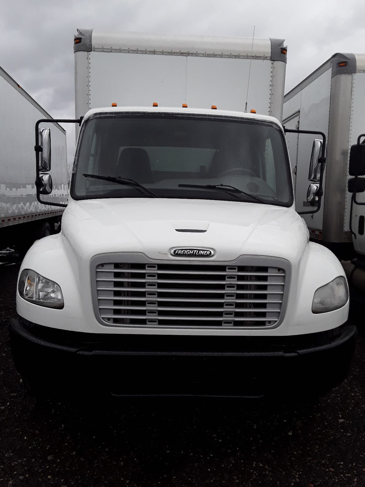 2015 Freightliner/Mercedes M2 106 343736