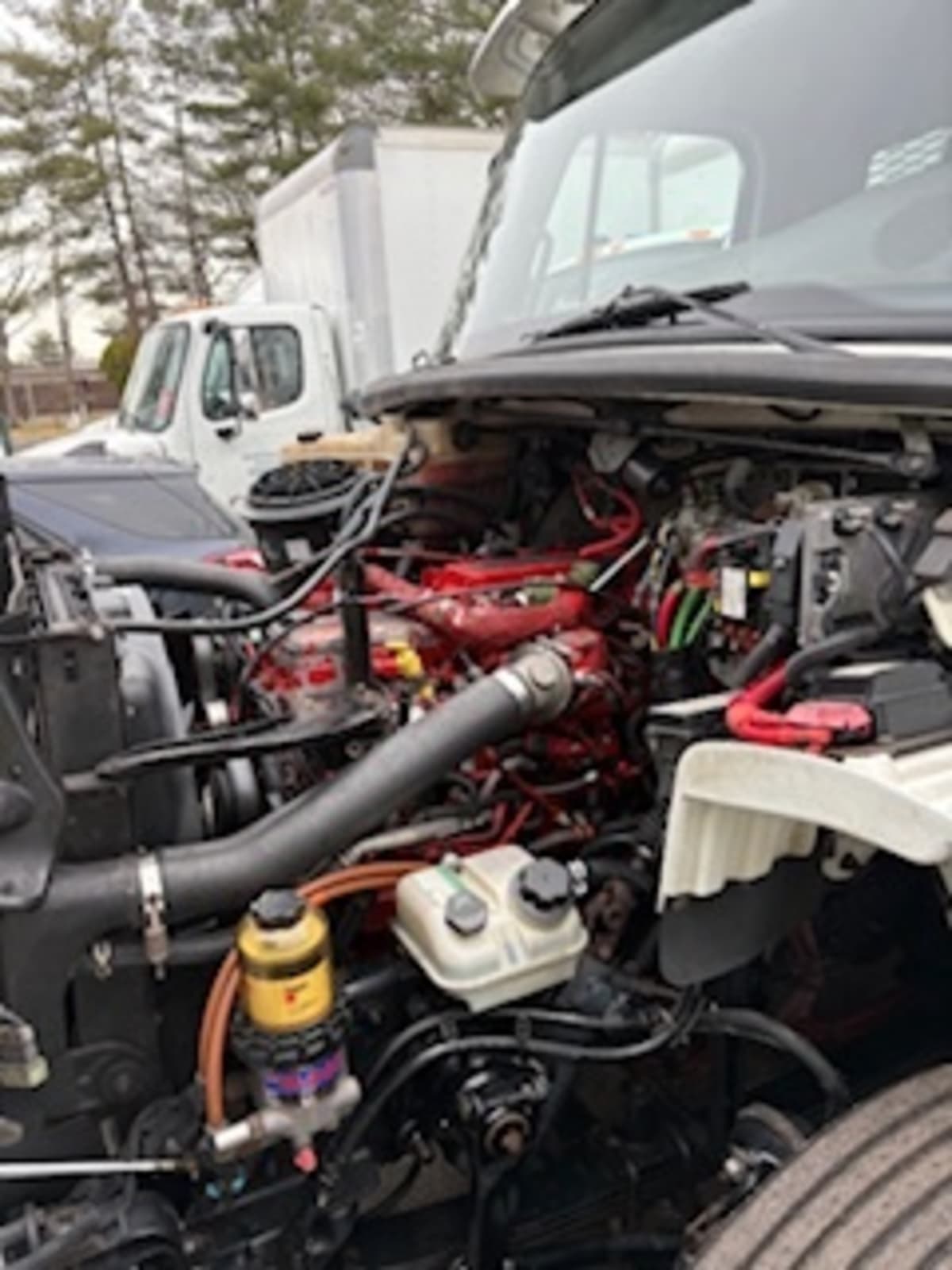 2015 Freightliner/Mercedes M2 106 348286