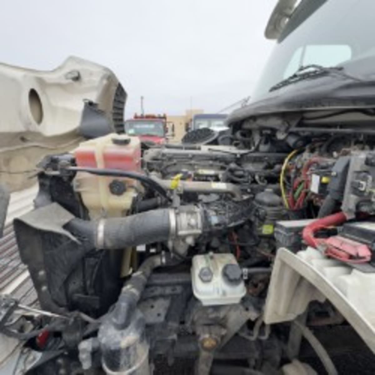 2016 Freightliner/Mercedes M2 112 357624