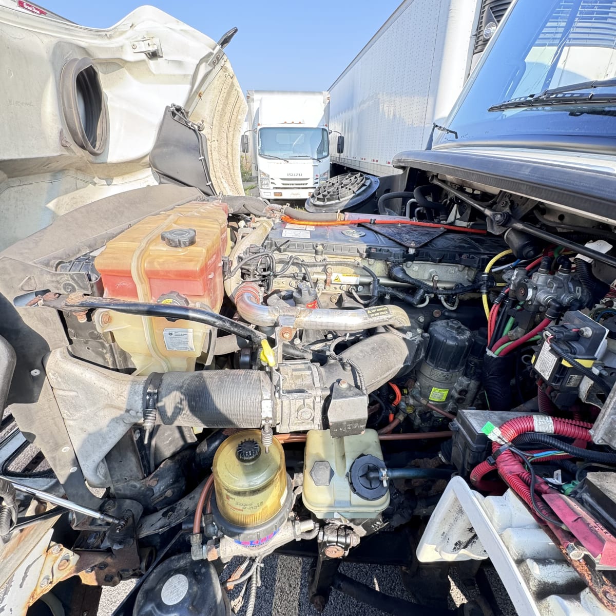 2012 Freightliner/Mercedes M2 112 359533