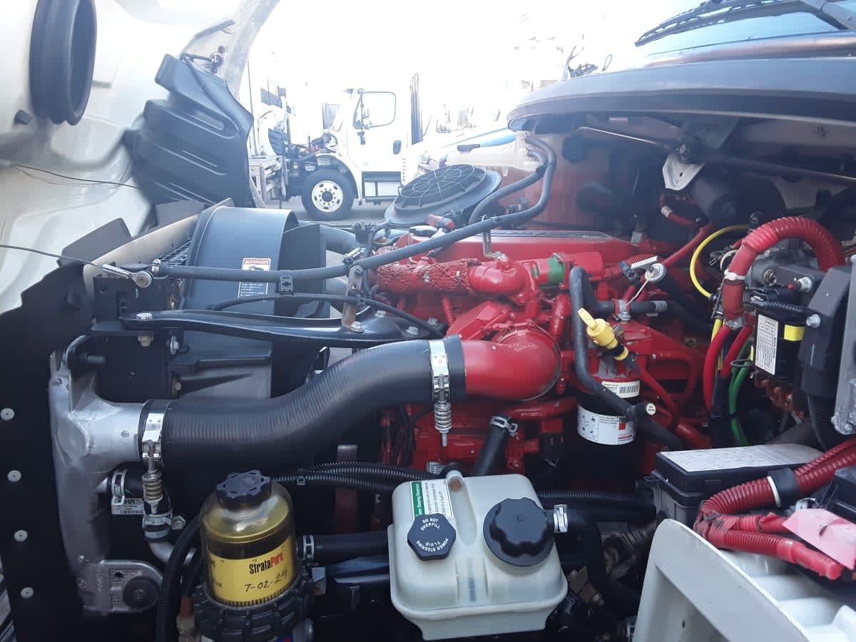 2016 Freightliner/Mercedes M2 106 396528