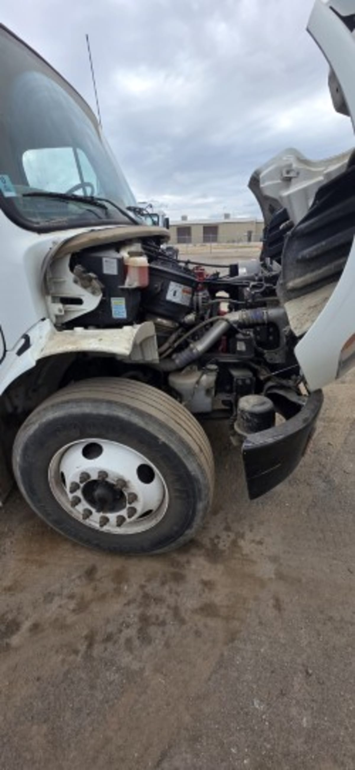 2012 Freightliner/Mercedes M2 106 485984