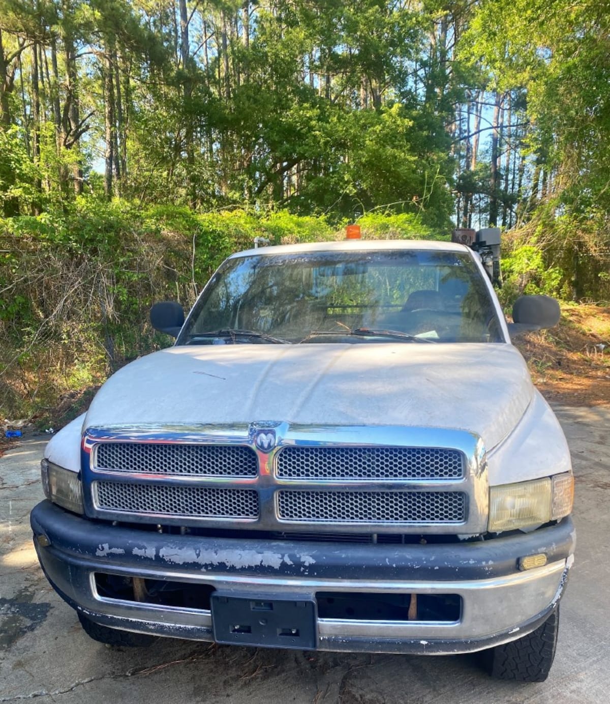 2001 Dodge/Div. Chrysler RAM 2500 501646