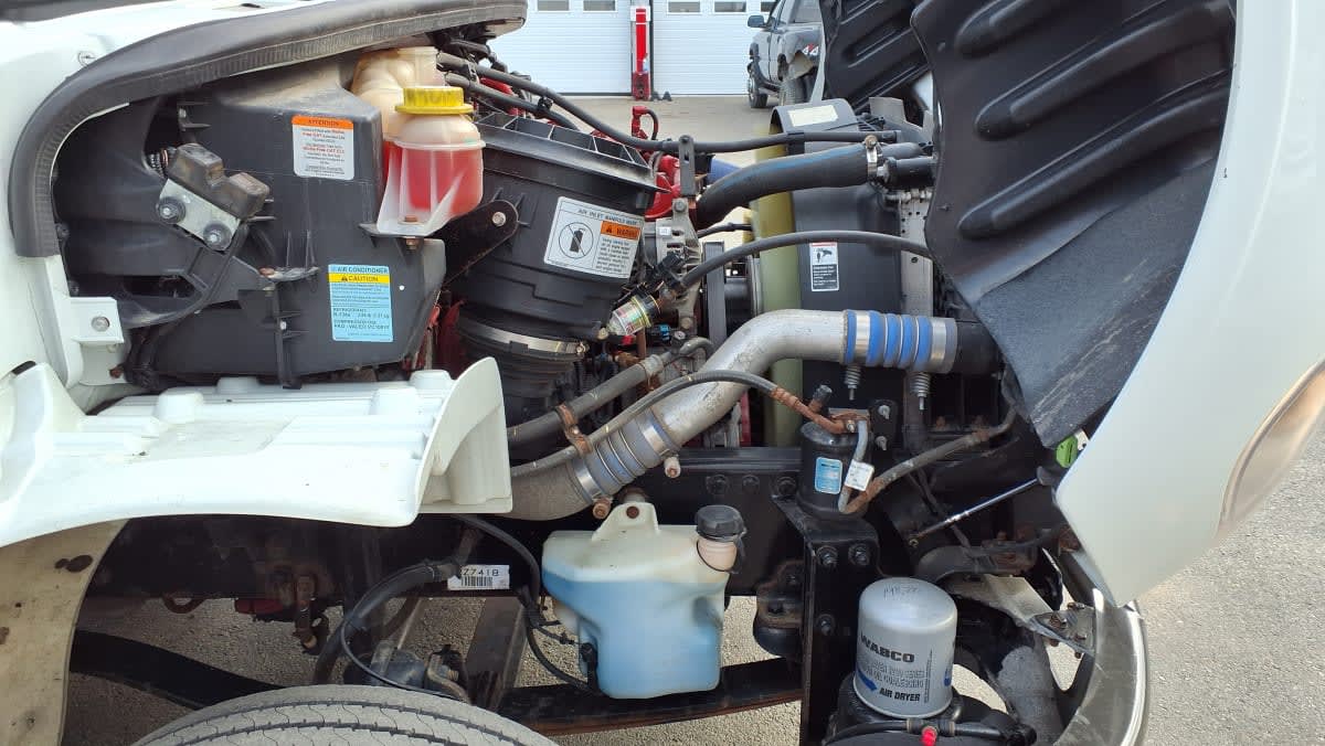 2022 Freightliner/Mercedes M2 106 507313