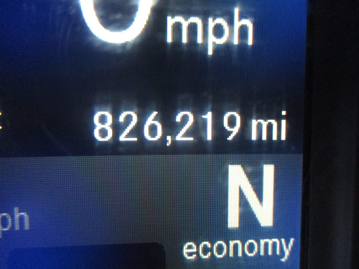 2022 Freightliner/Mercedes NEW CASCADIA PX12664 510381