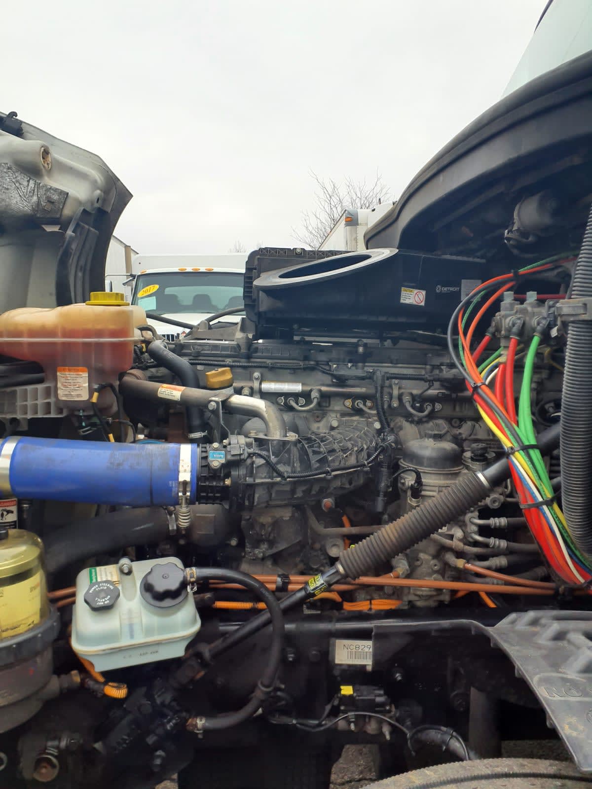 2022 Freightliner/Mercedes NEW CASCADIA PX12664 511890