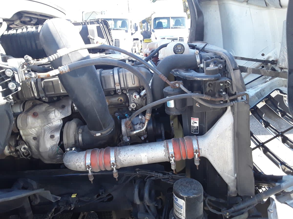 2021 Freightliner/Mercedes NEW CASCADIA PX12664 513863