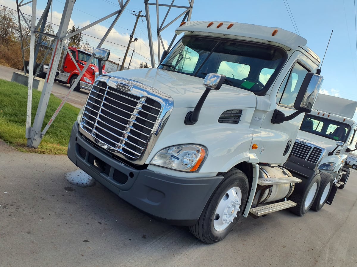 2014 Freightliner/Mercedes CASCADIA 113 519051