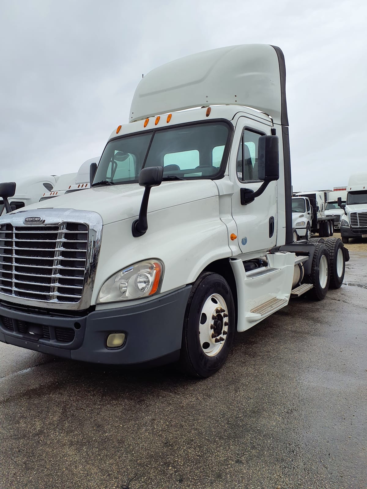 2014 Freightliner/Mercedes CASCADIA 125 533638