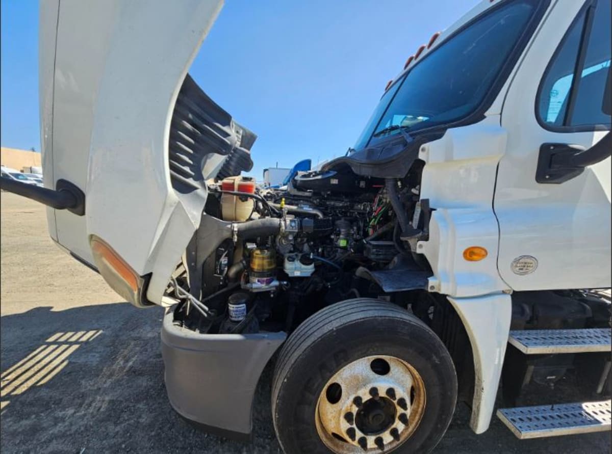 2014 Freightliner/Mercedes CASCADIA 125 556633