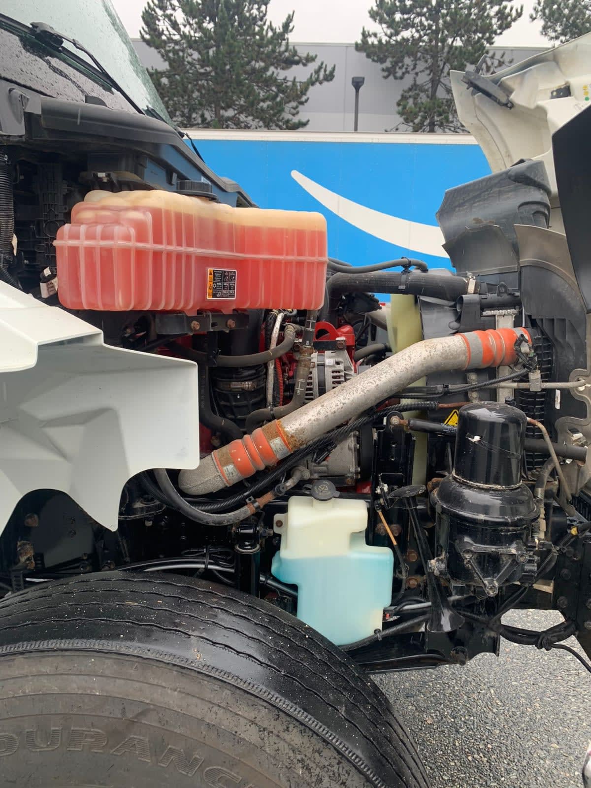 2023 Navistar International MV607 (4X2) 557042