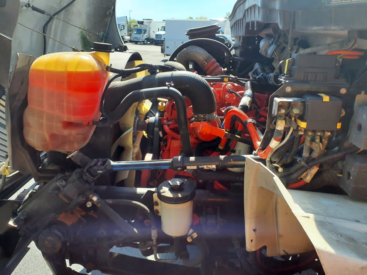 2023 Navistar International MV607 (4X2) 558430
