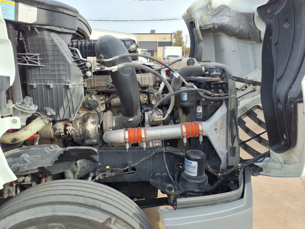 2022 Freightliner/Mercedes NEW CASCADIA PX12664 560312