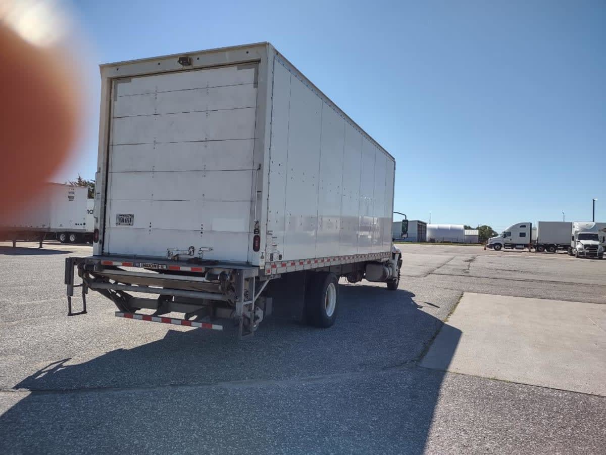 2023 Navistar International MV607 (4X2) 560483