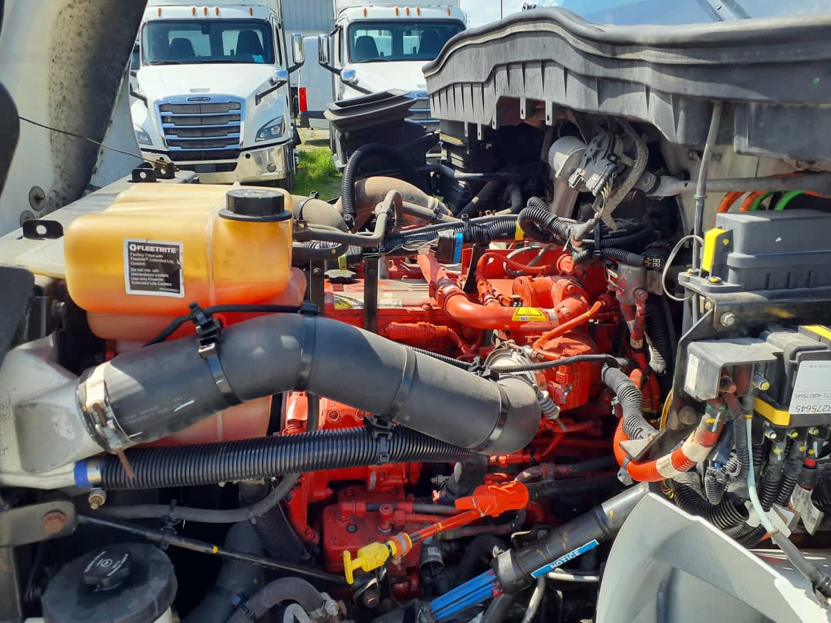 2023 Navistar International MV607 (4X2) 561794