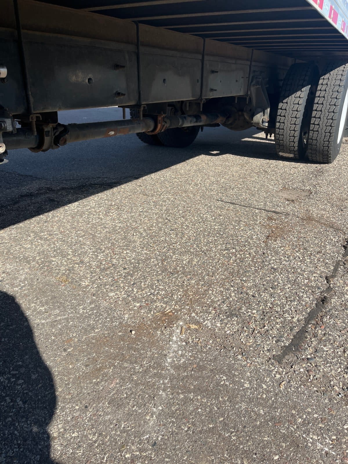 2023 Navistar International MV607 (4X2) 561861