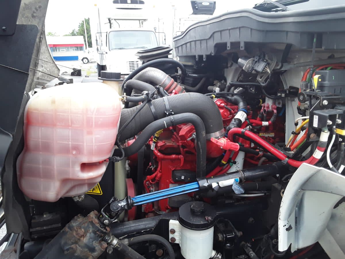 2023 Navistar International MV607 (4X2) 562152