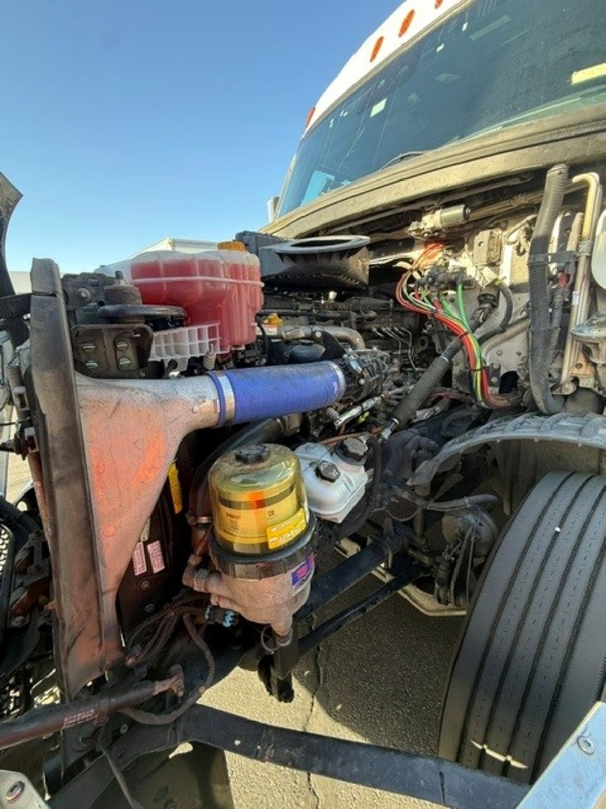 2022 Freightliner/Mercedes NEW CASCADIA PX12664 564478