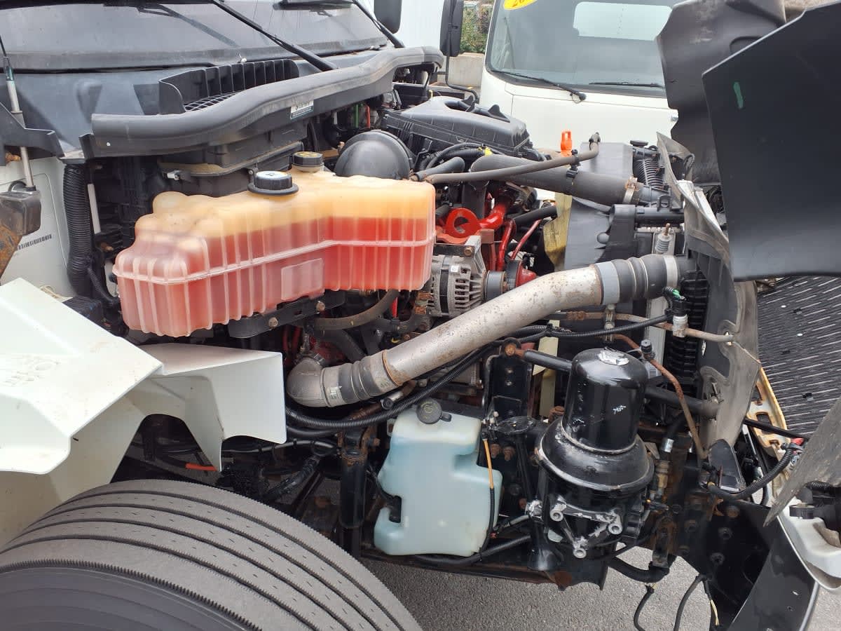2023 Navistar International MV607 (4X2) 568610