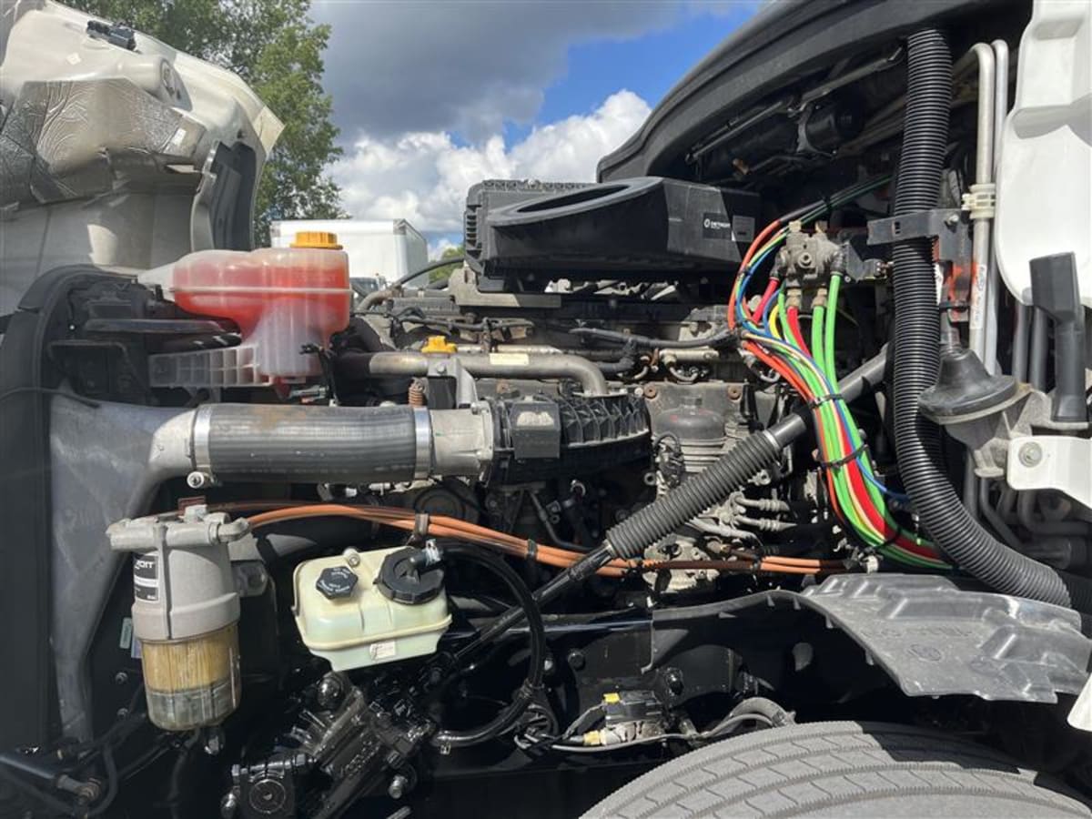 2019 Freightliner - image 9