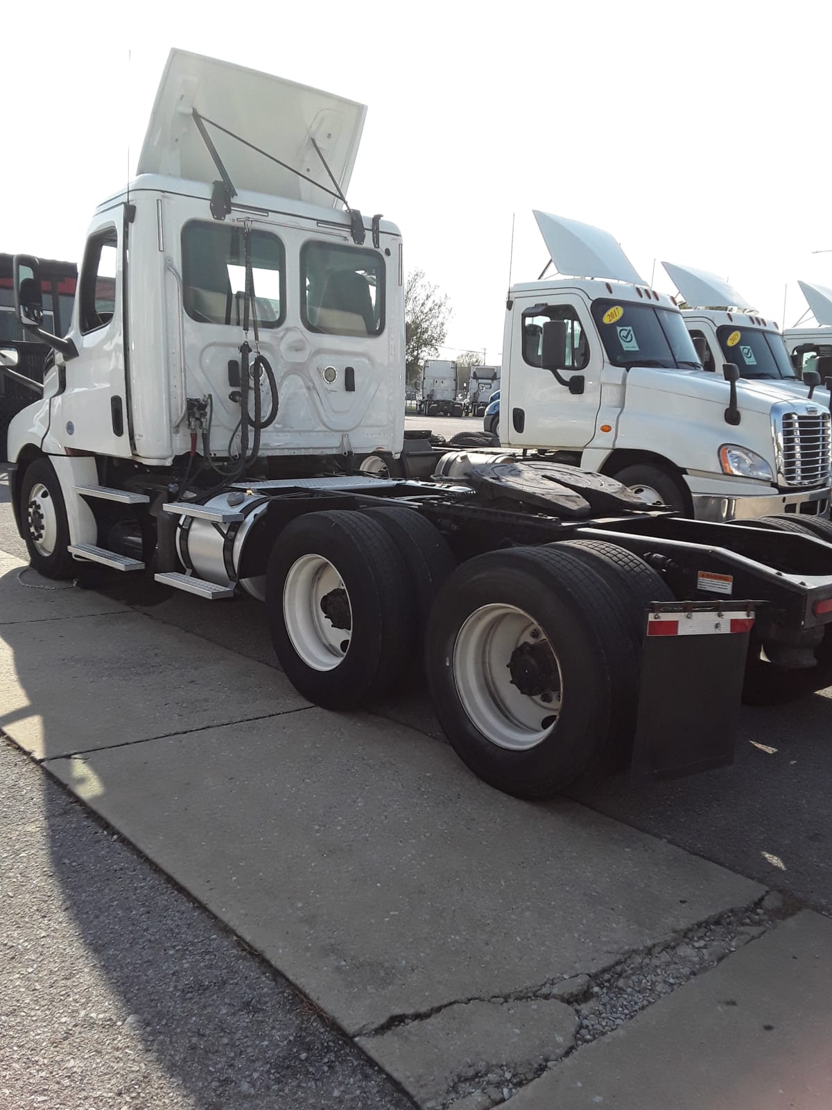 2019 Freightliner/Mercedes CASCADIA 125 586929