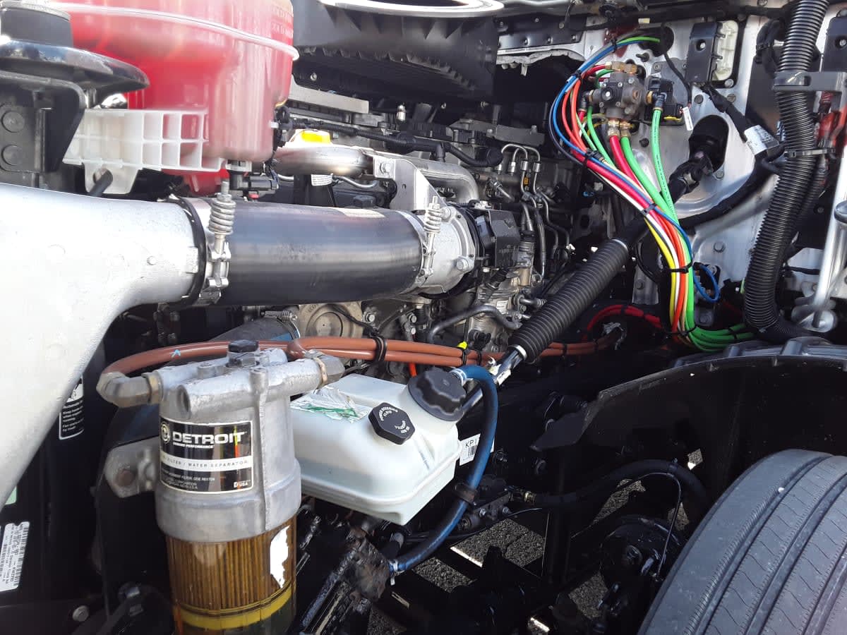 2019 Freightliner/Mercedes NEW CASCADIA 126 597054