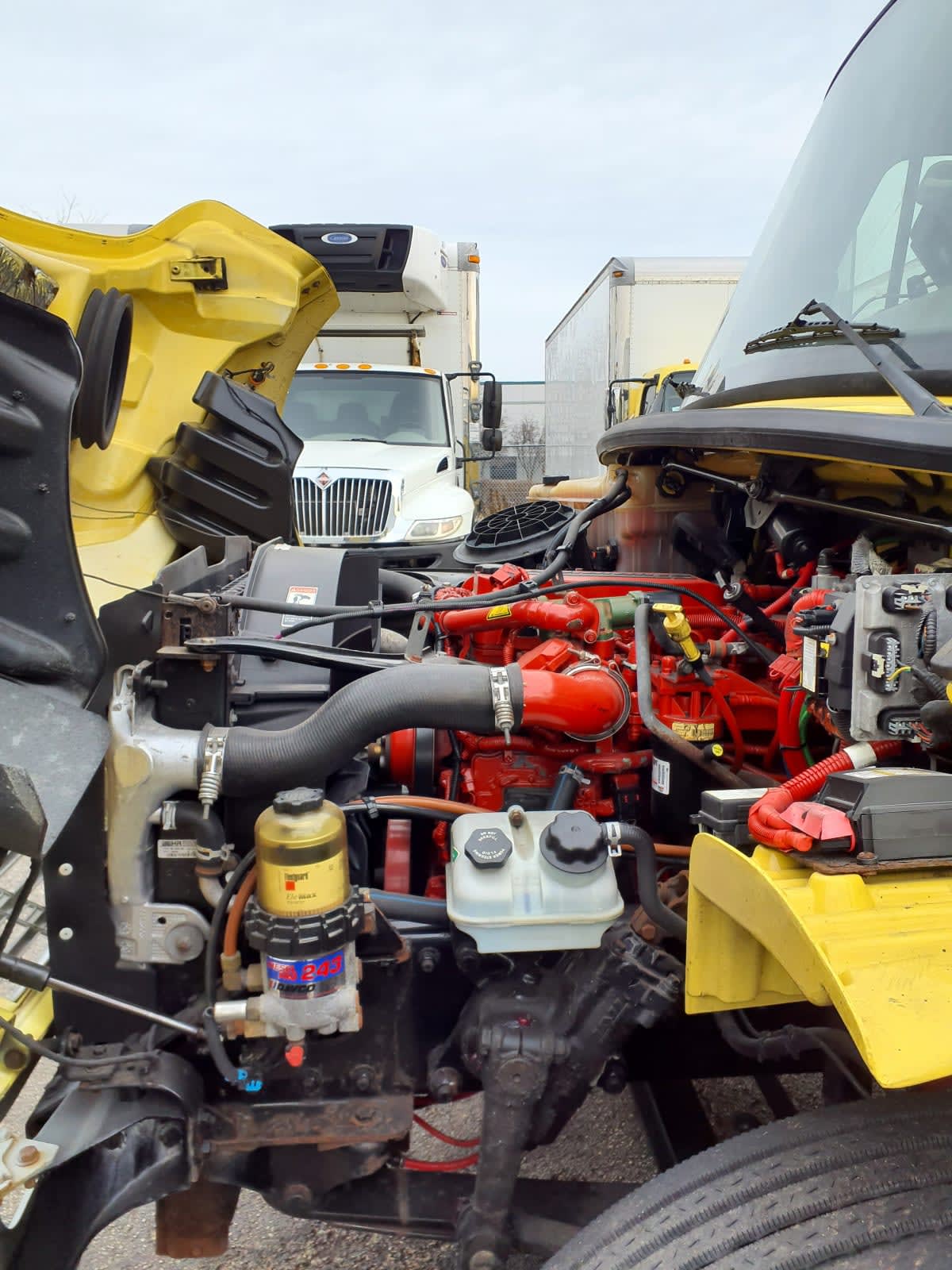 2016 Freightliner/Mercedes M2 106 648242