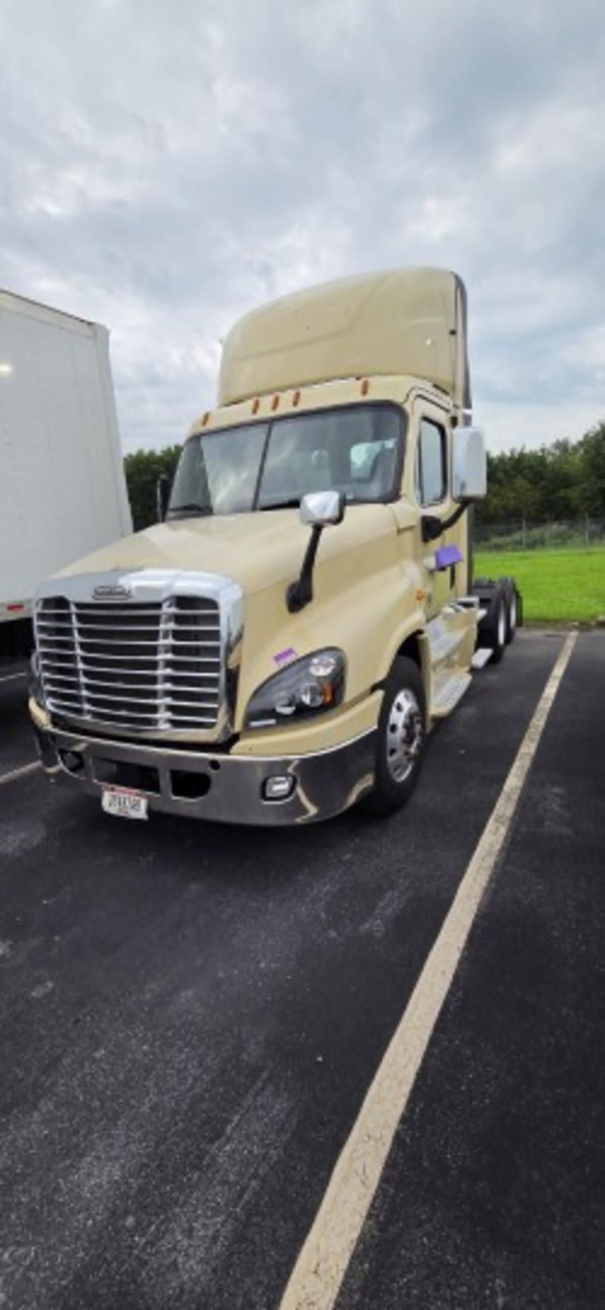 2016 Freightliner Cascadia in Beltsville, MD