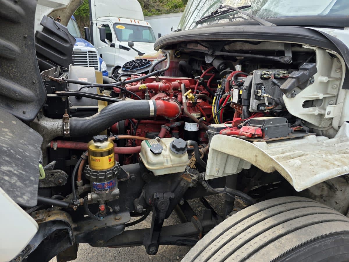 2017 Freightliner/Mercedes M2 106 659339