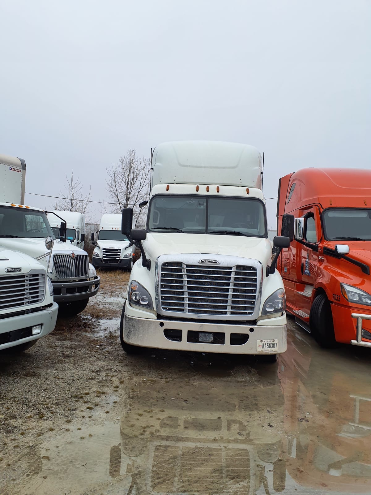 2017 Freightliner/Mercedes CASCADIA 113 659681