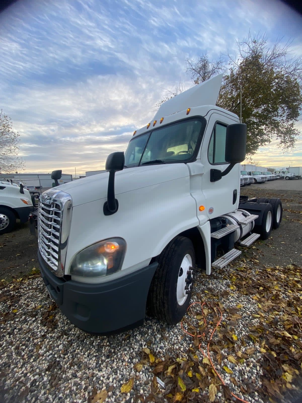 2017 Freightliner - image 1