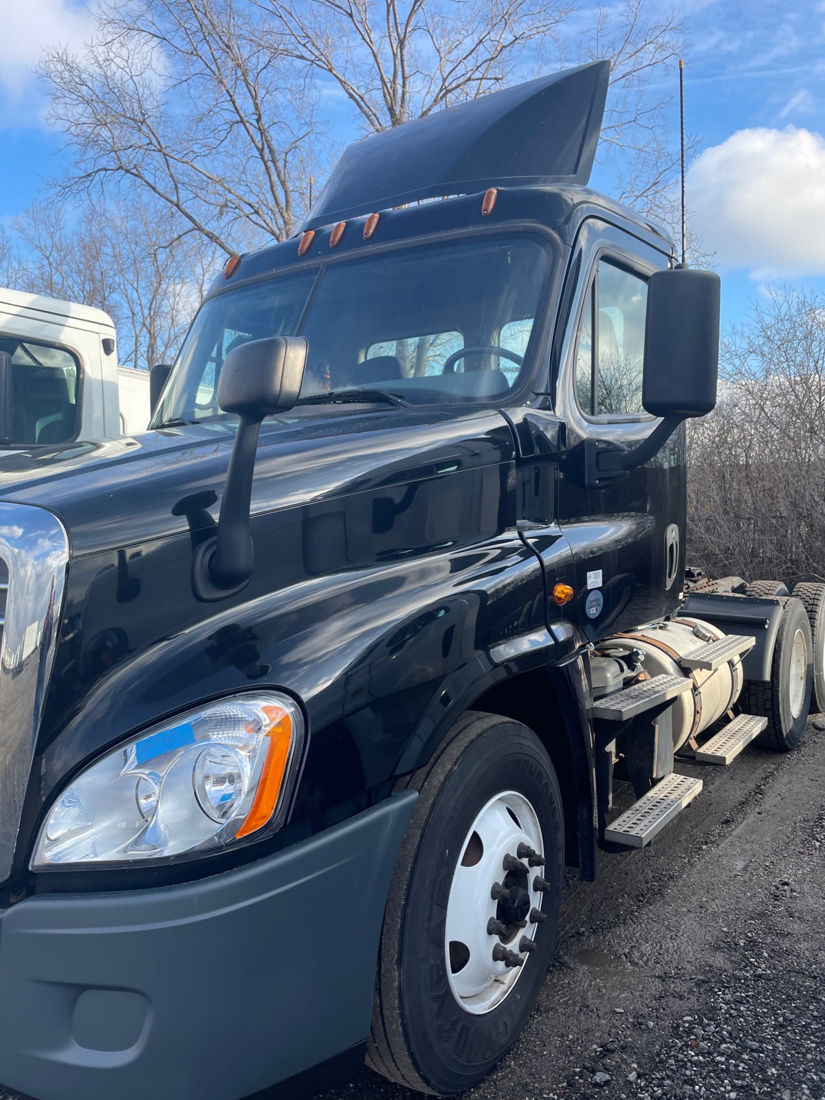 2016 Freightliner/Mercedes CASCADIA 125 663123