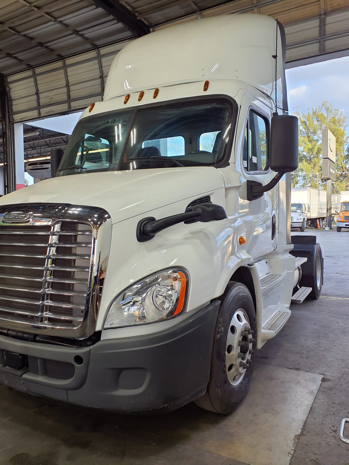 2017 Freightliner/Mercedes CASCADIA 113 664111