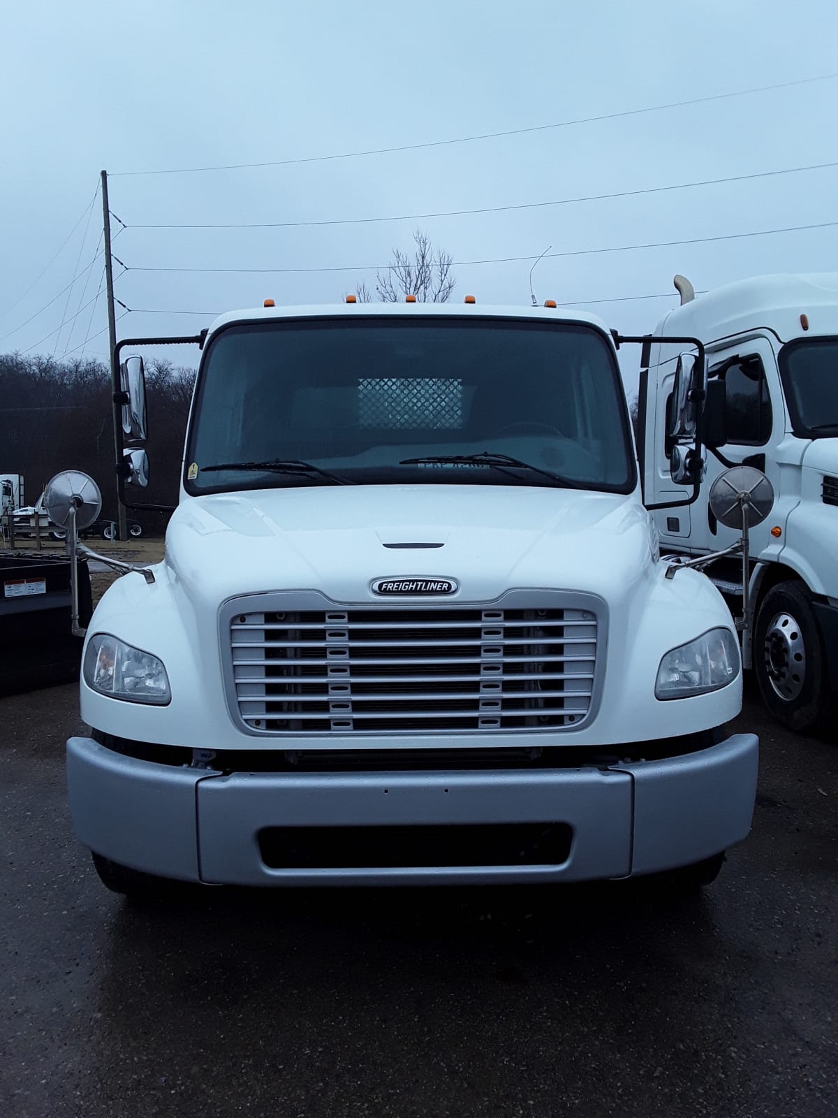 2017 Freightliner/Mercedes M2 106 664323