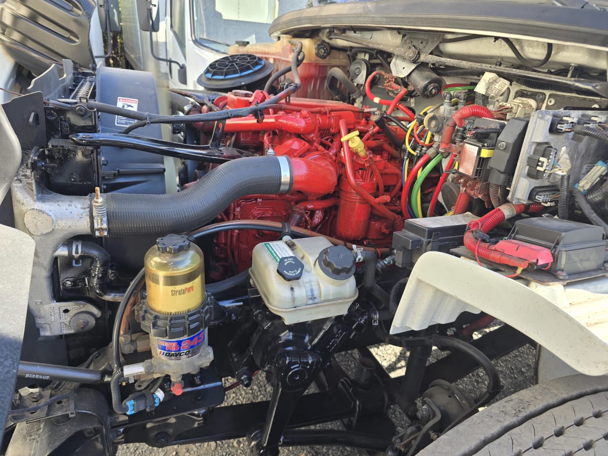 2017 Freightliner/Mercedes M2 106 664834